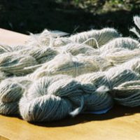 CLL_farm_raised_lama_wool