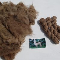 llama yarn