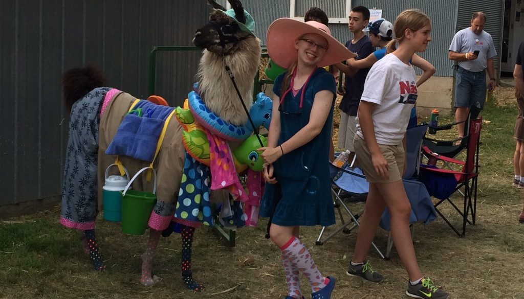 Llama in Costume at the Carver County Fair