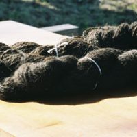 craft_wool