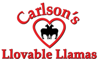 Carlson's Llovable Llamas