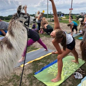 Llama Yoga