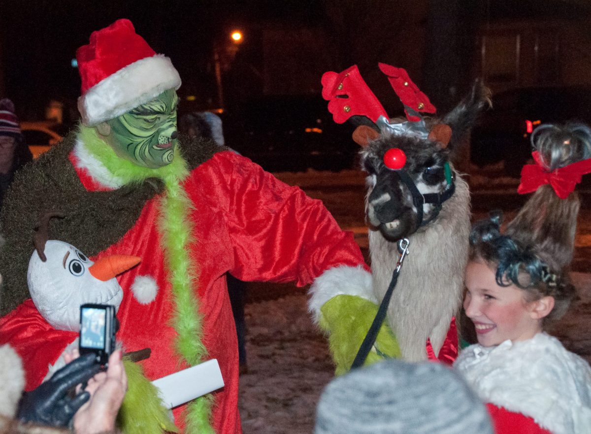 Llamas at Tree Lighting Ceremony Waconia, MN