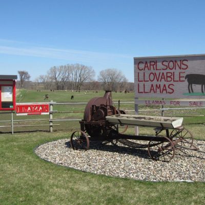 Carlsons Llovable Llamas entrance sign