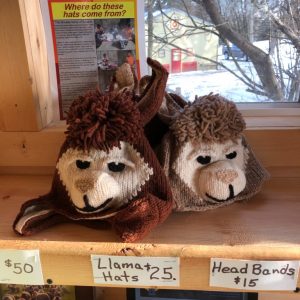 Llama Winter Hat